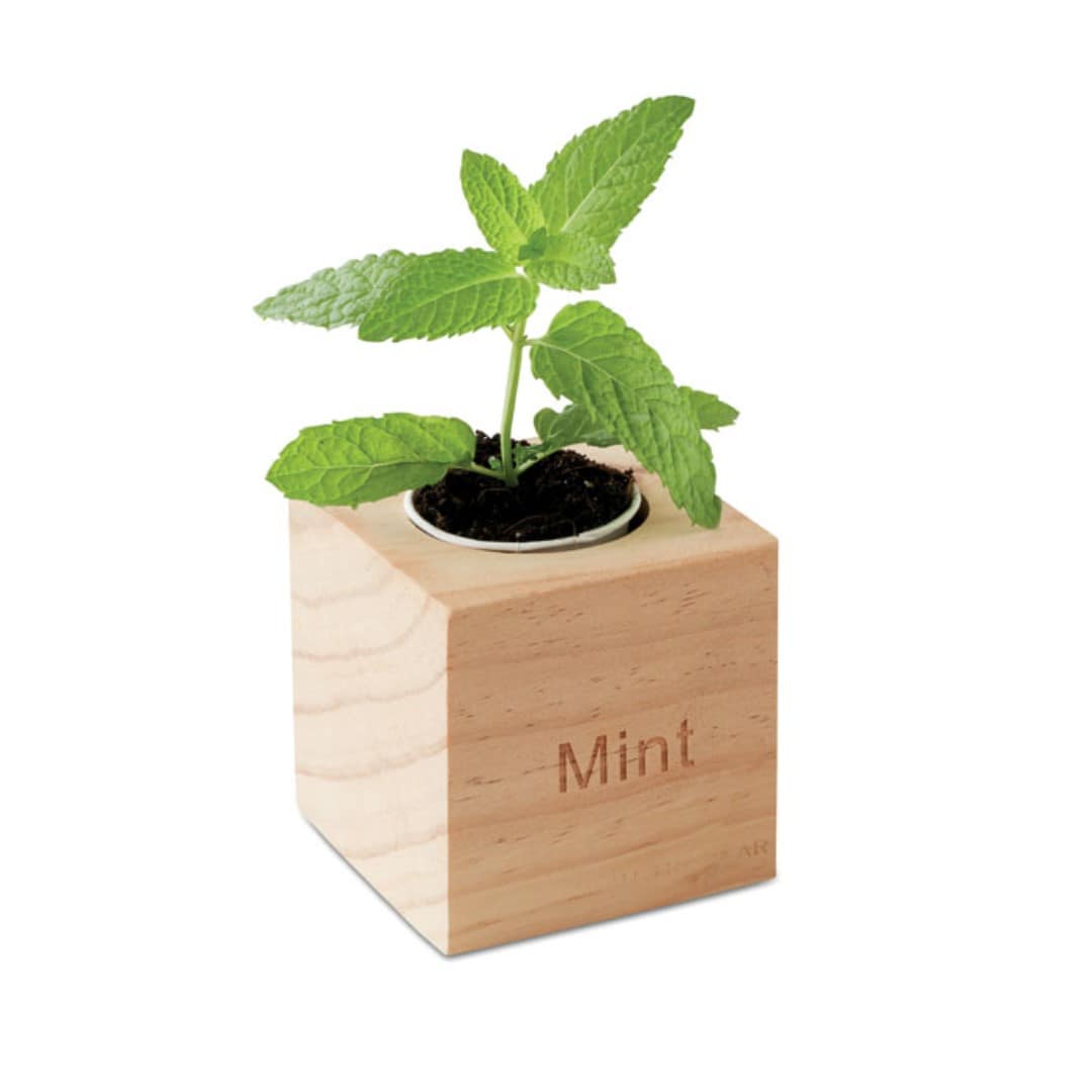 Gadget with logo MENTA