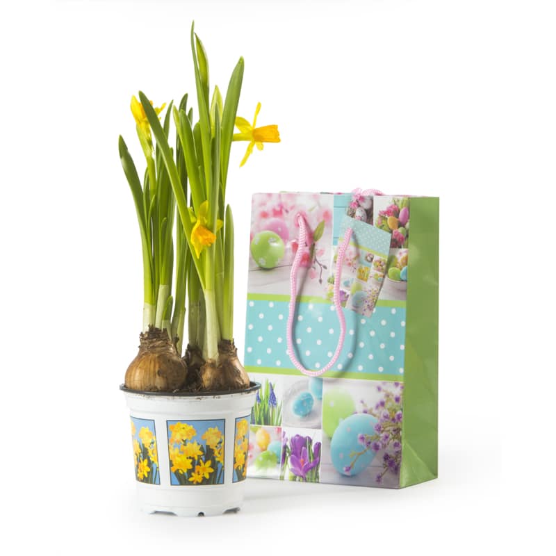Flowers with logo Easter